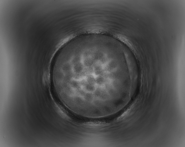 X0000087750630200705071114