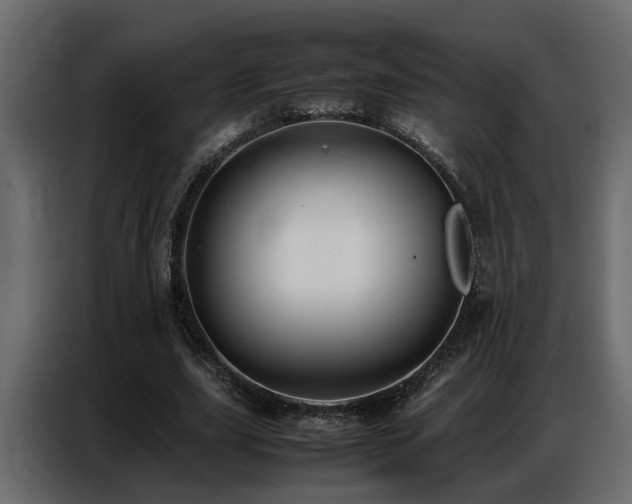 X0000087750631200705071114