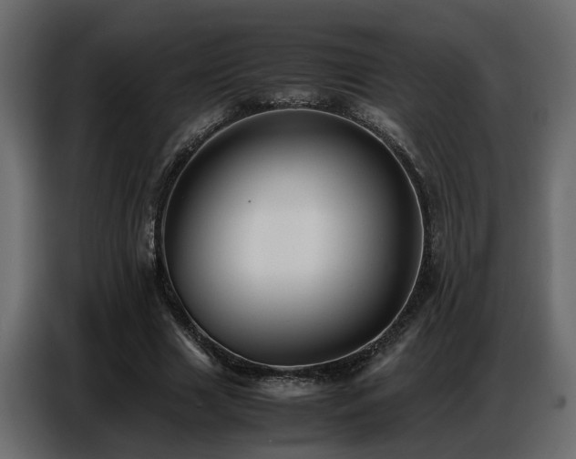 X0000087750633200705071114