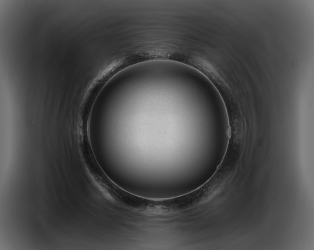 X0000087750634200705071114