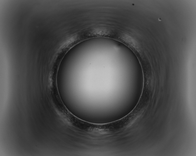 X0000087750635200705071114