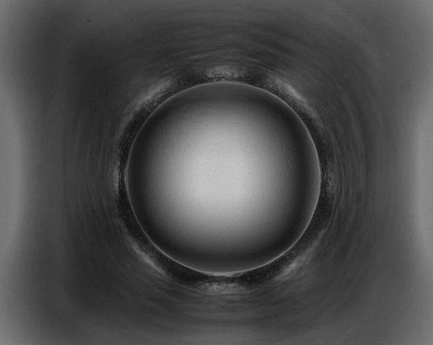 X0000087750637200705071114
