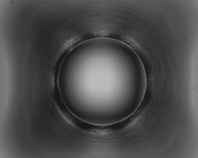 X0000087750638200705071114