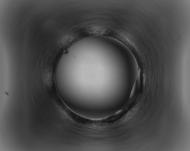 X0000087750641200705071114