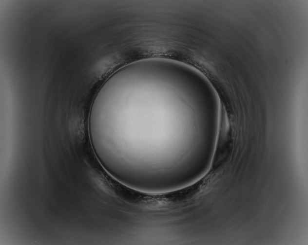 X0000087750642200705071114