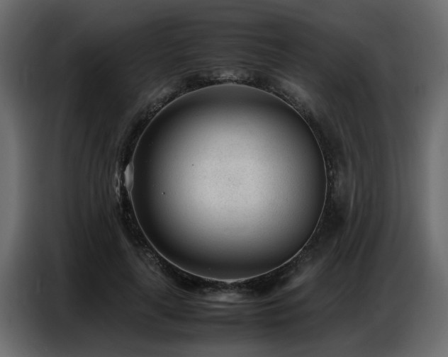 X0000087750643200705071114