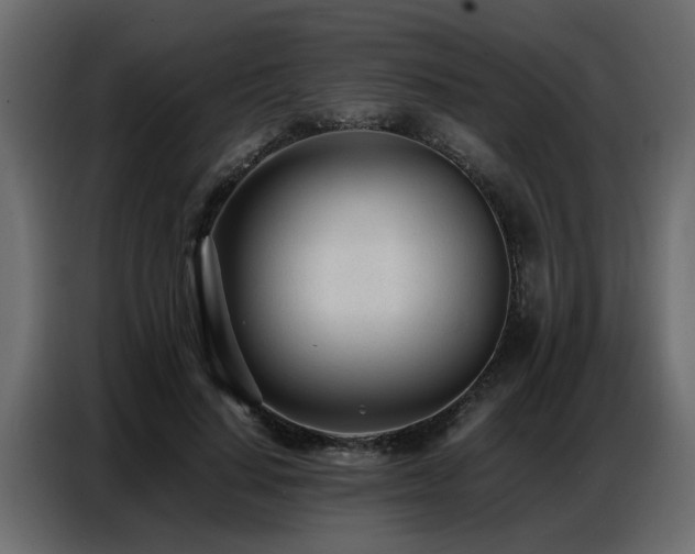X0000087750644200705071114