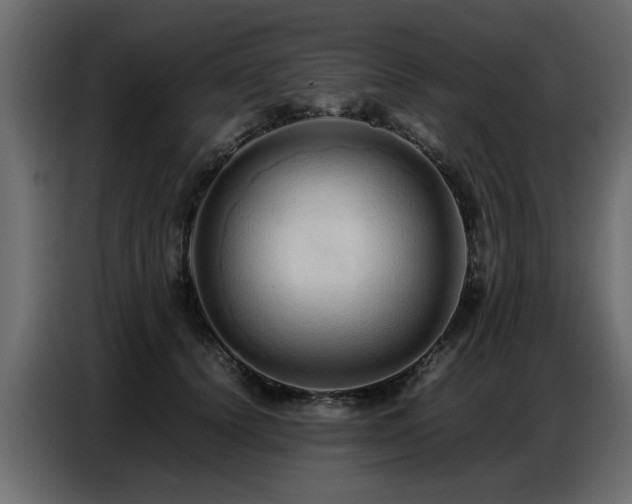 X0000087750656200705071114
