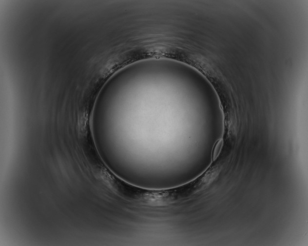 X0000087750660200705071114