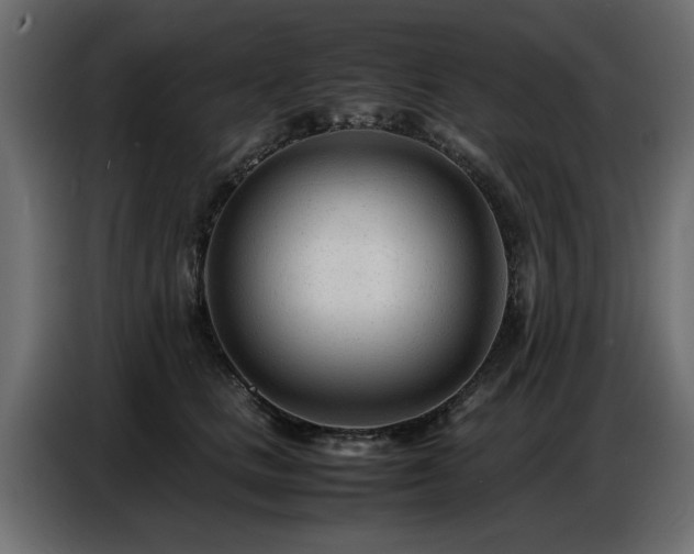 X0000087750661200705071114