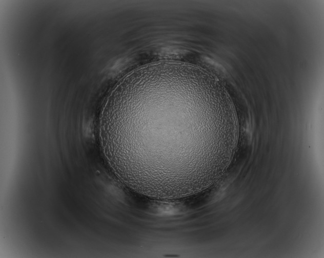 X0000087750663200705071114