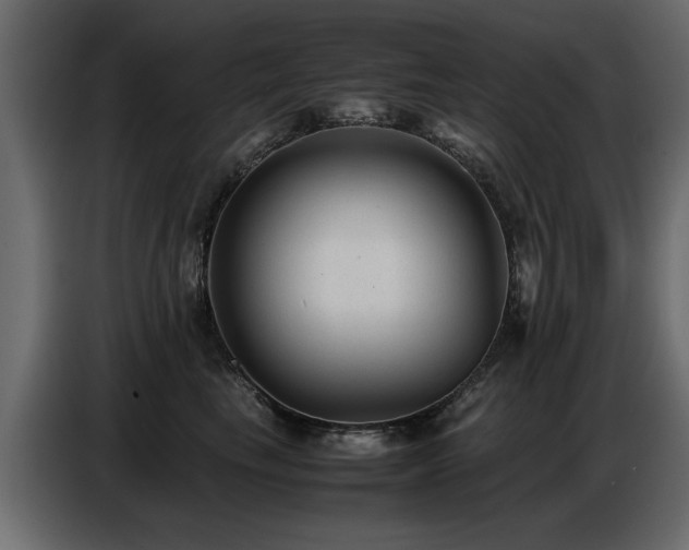 X0000087750665200705071114