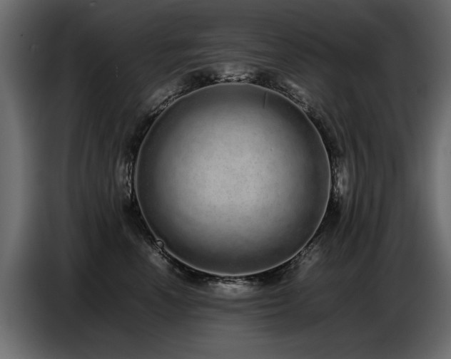 X0000087750666200705071114