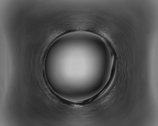 X0000087750673200705071114