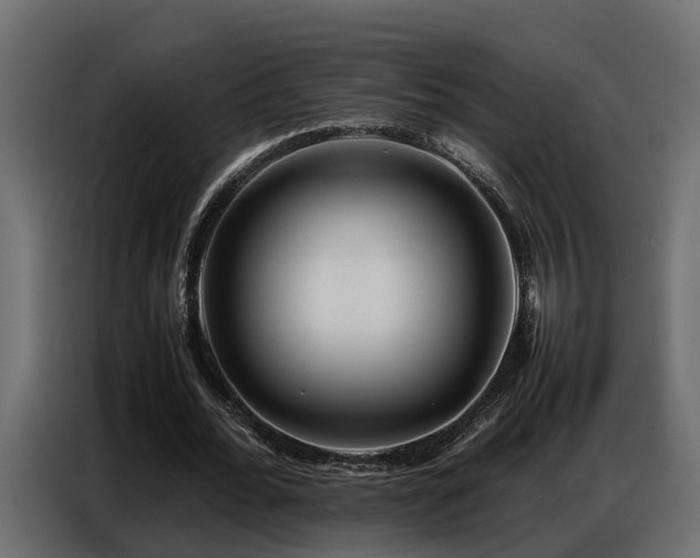 X0000087750676200705071114