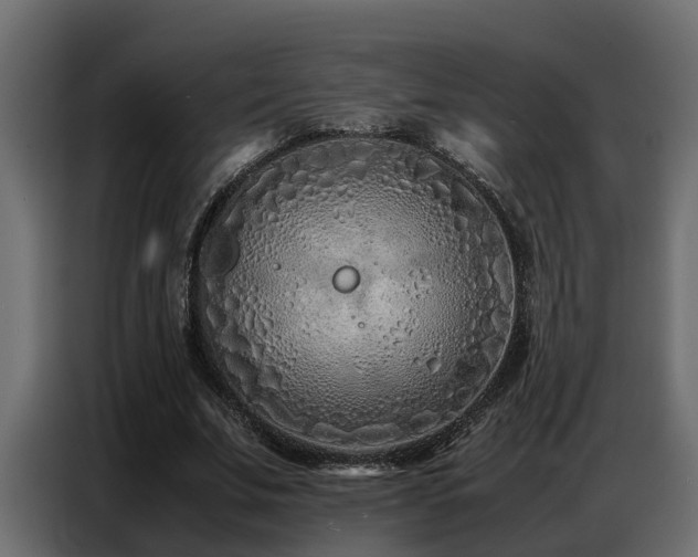 X0000087750679200705071113