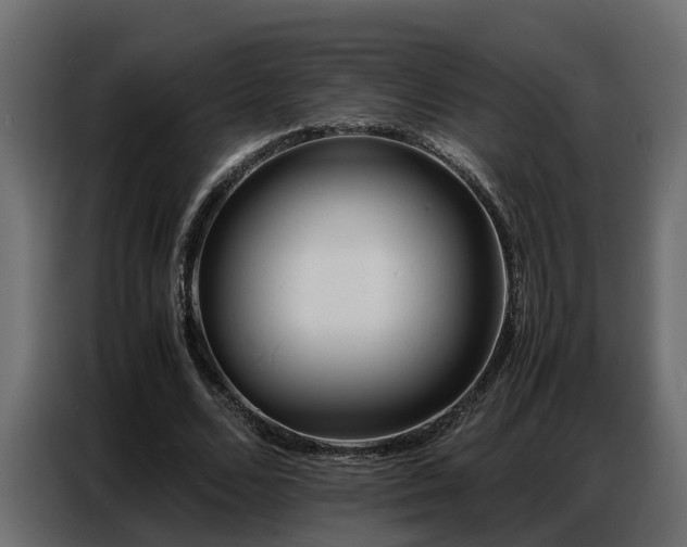X0000087750680200705071113