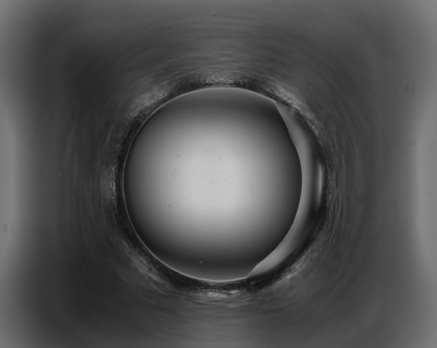 X0000087750681200705071113