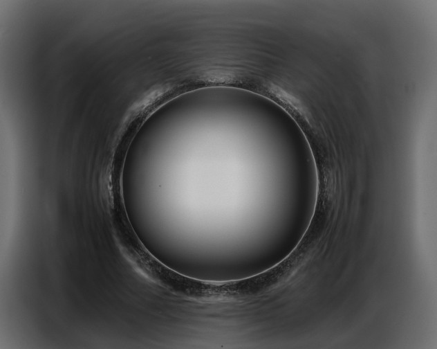 X0000087750682200705071113