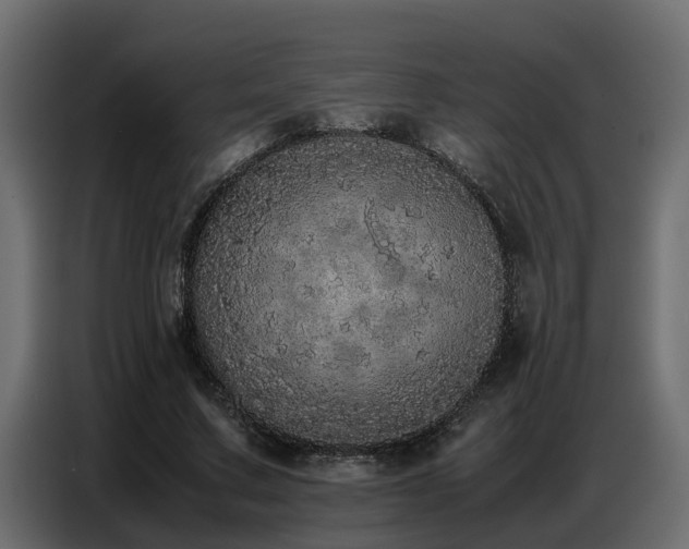 X0000087750683200705071113