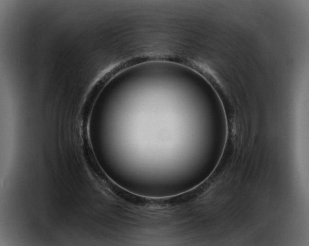 X0000087750684200705071113