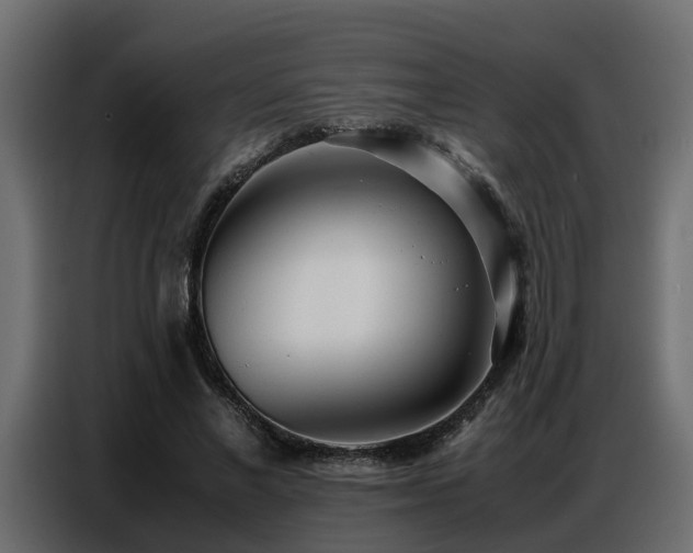 X0000087750685200705071113