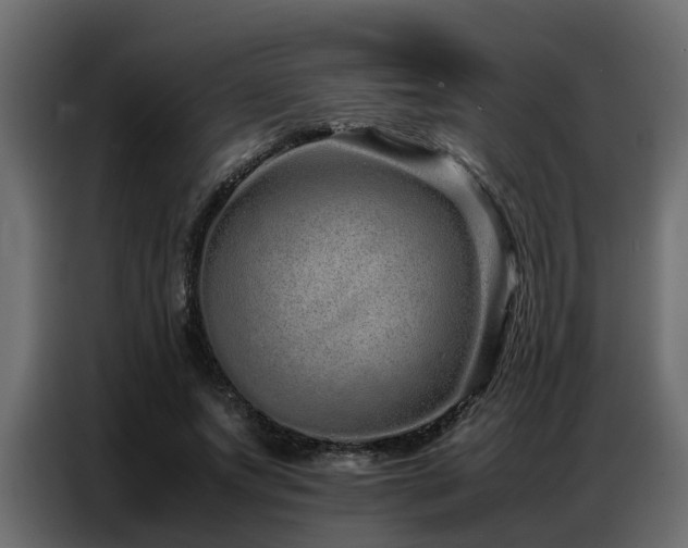 X0000087750687200705071113