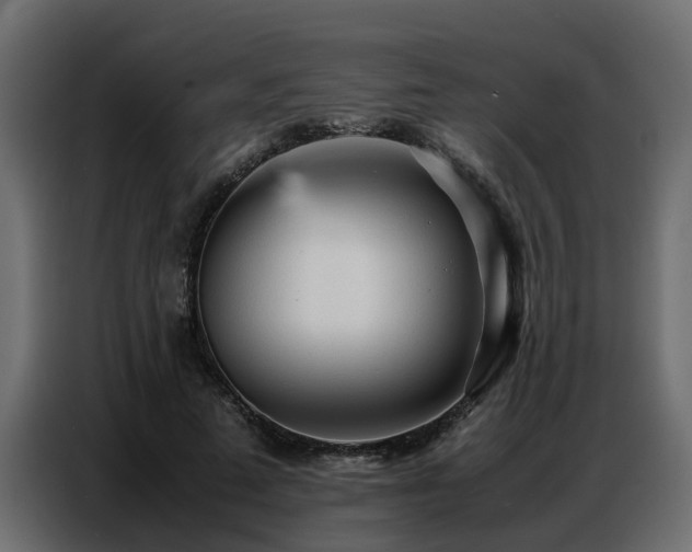 X0000087750689200705071113