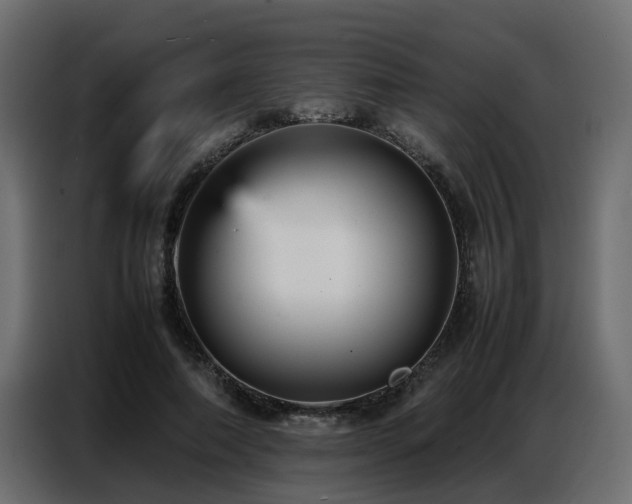 X0000087750690200705071113