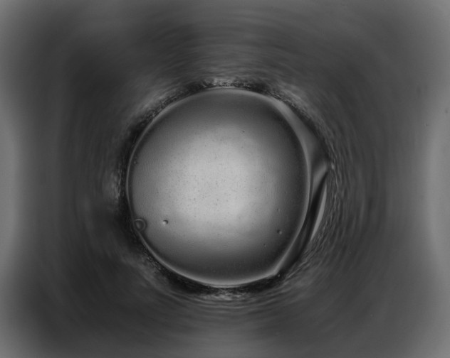 X0000087750691200705071113