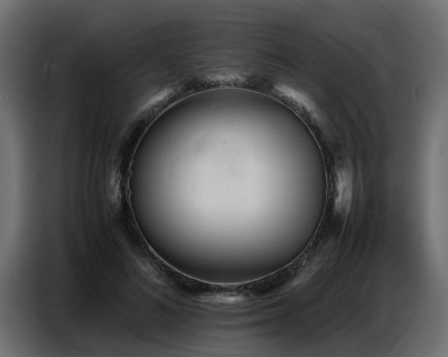 X0000087750692200705071113