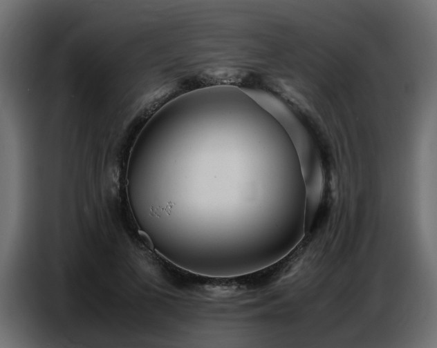 X0000087750693200705071113