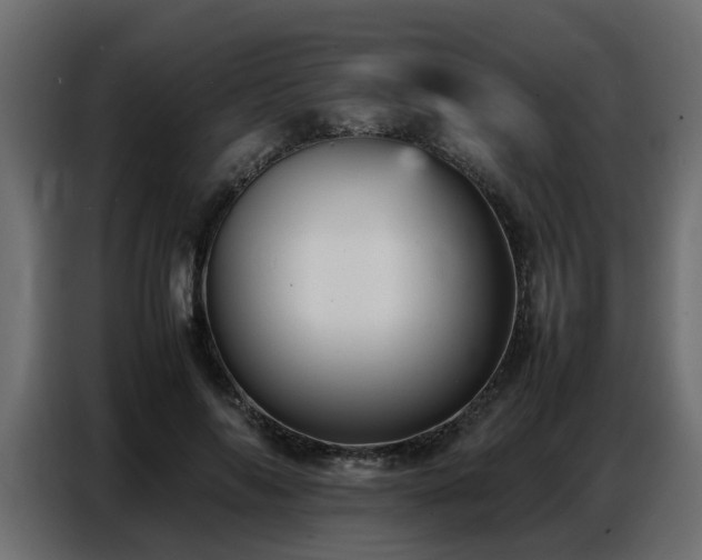 X0000087750694200705071113