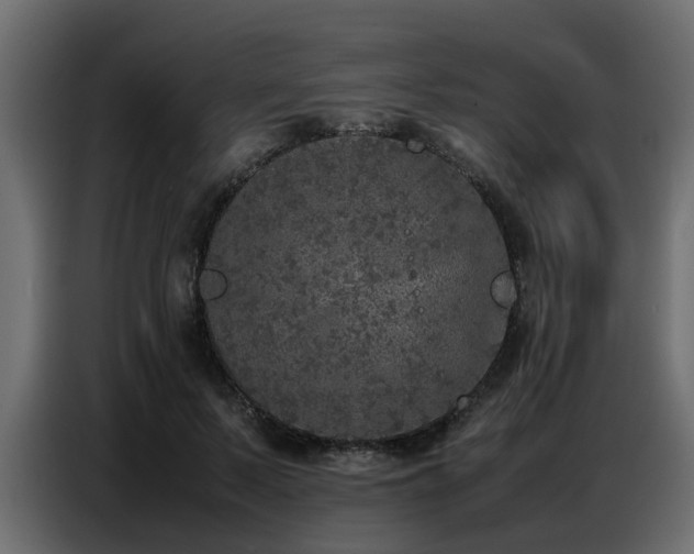 X0000087750695200705071113