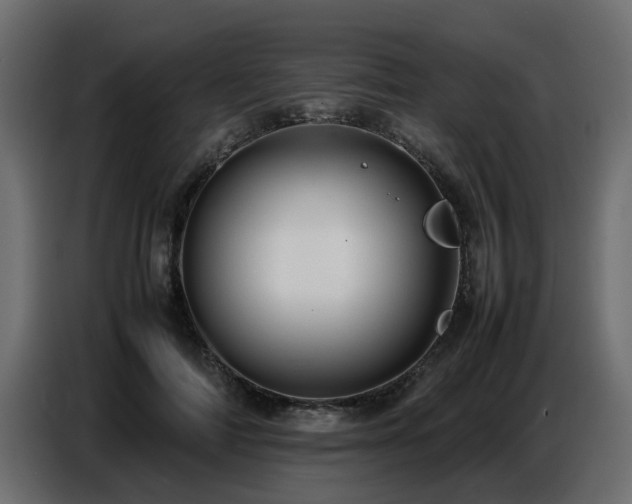 X0000087750698200705071113