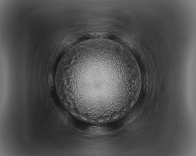 X0000087750699200705071113