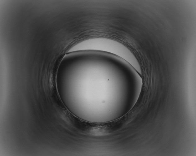 X0000087750700200705071113