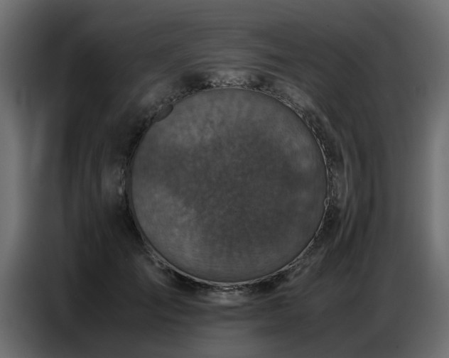 X0000087750701200705071113