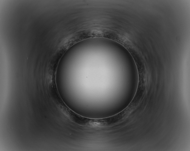 X0000087750706200705071113
