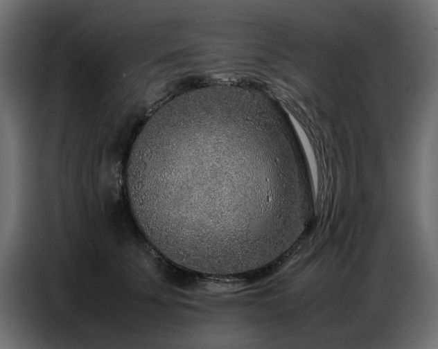 X0000087750707200705071113