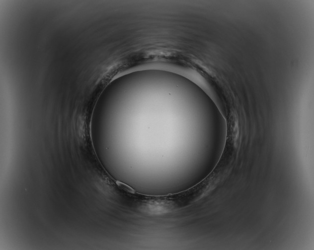 X0000087750708200705071113