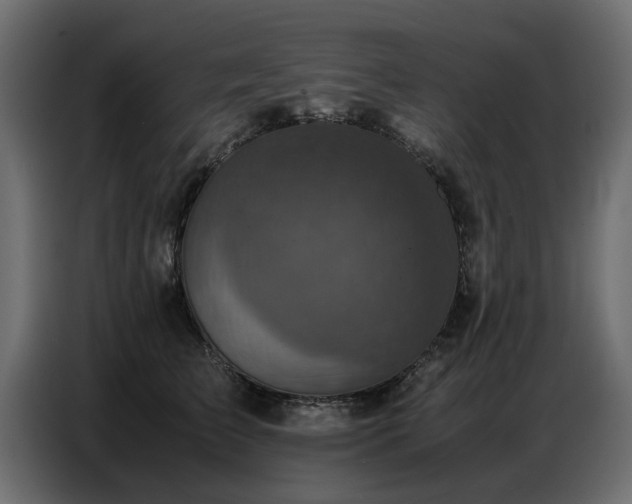 X0000087750709200705071113