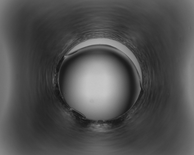 X0000087750712200705071113