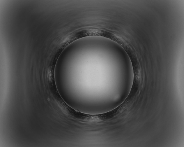 X0000087750715200705071113