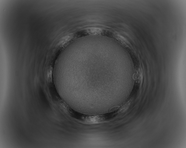 X0000087750717200705071113