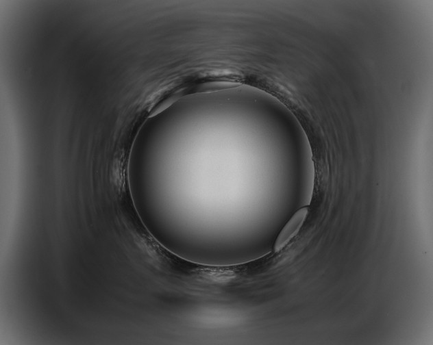 X0000087750719200705071113