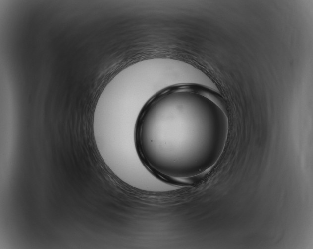 X0000087750720200705071113