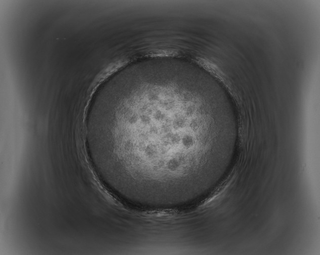 X0000087750721200705071112