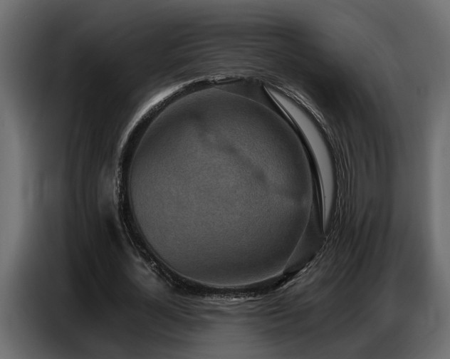 X0000087750724200705071112