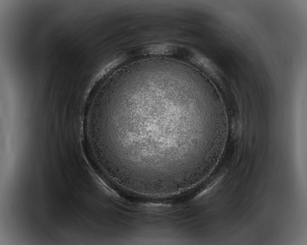 X0000087750725200705071112